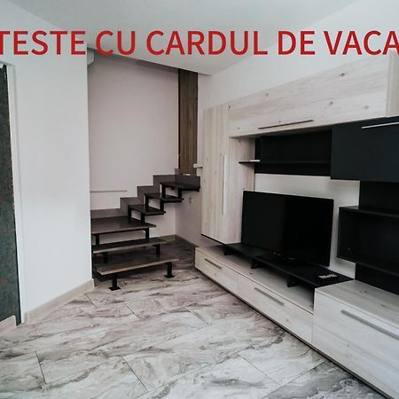Apartment Attic Sibiu Luaran gambar